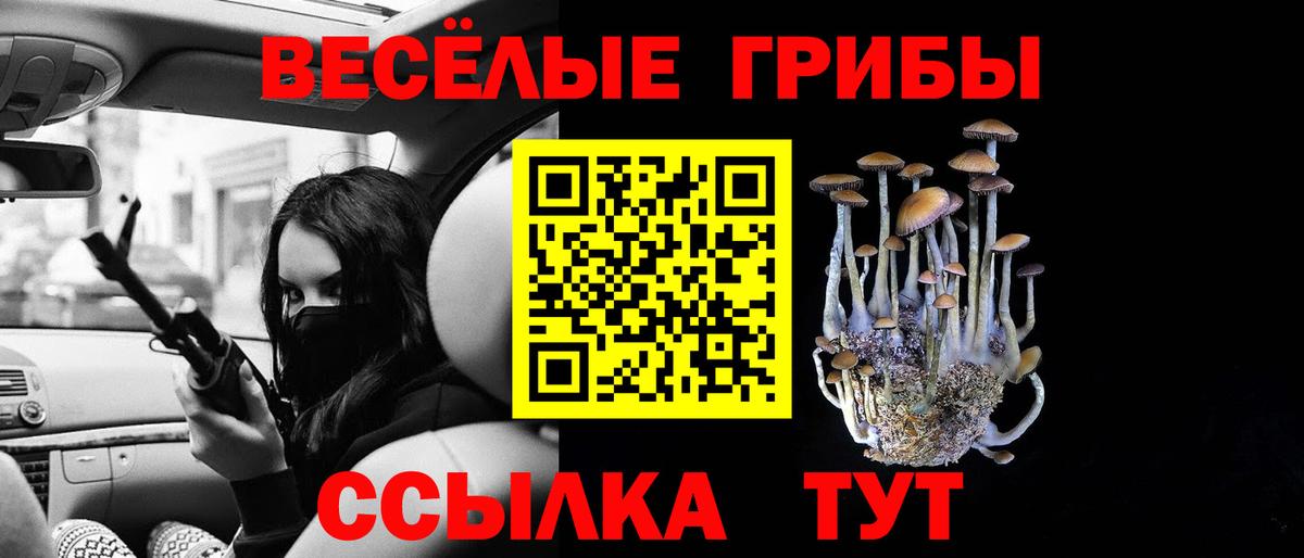 Псилоцибиновые грибы GOLDEN TEACHER Барнаул