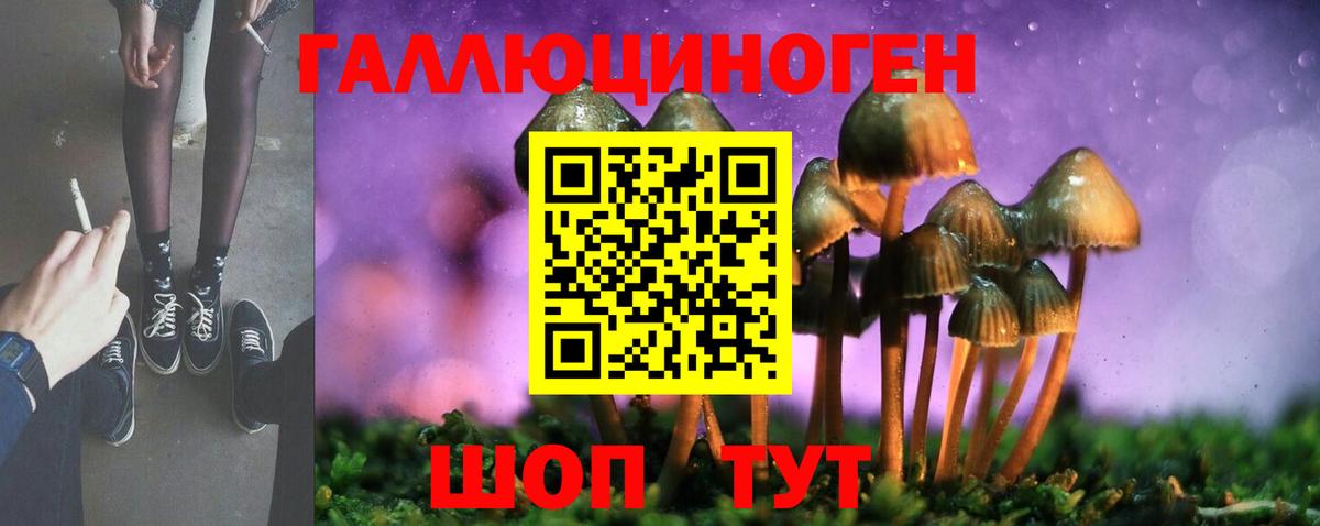 Псилоцибиновые грибы Cubensis  Псилоцибиновые грибы Psilocybe  Вход с VPN  Барнаул 
