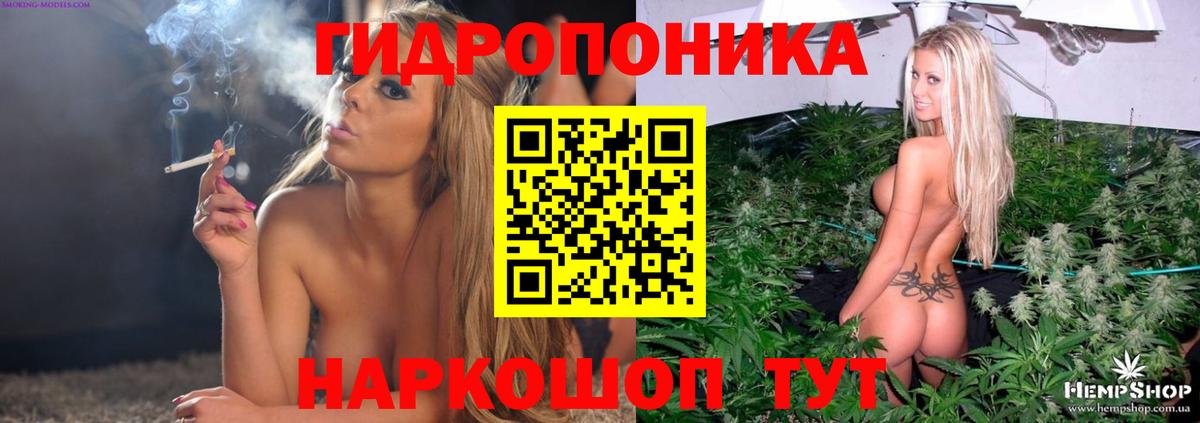 Барнаул  Бошки марихуана индика  Марихуана планчик  Вход с VPN 